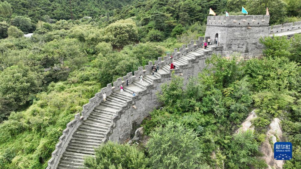庄龙宝 闲龙宝 的规则